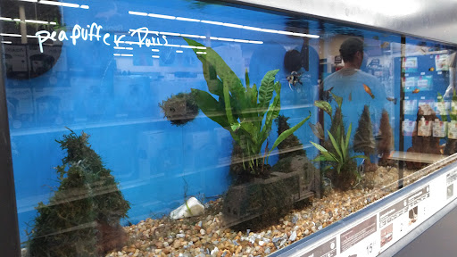 Pet Supply Store «Petco Animal Supplies», reviews and photos, 1893 W Main St, Troy, OH 45373, USA