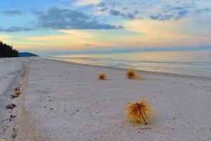 Pantai Tambak image