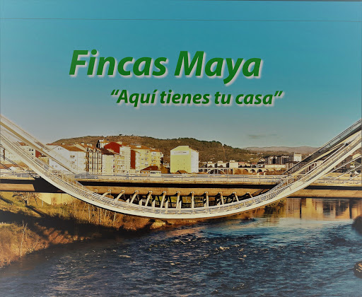 Fincas Maya. Agencia Inmobiliaria - Rúa Cardenal Quevedo, 5, Bajo, 32004 Ourense