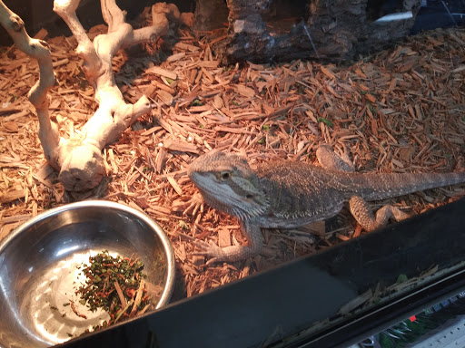 Pet Store «Valley Pets», reviews and photos, 6380 US-85, Fountain, CO 80817, USA