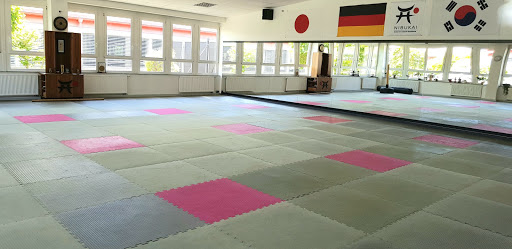 Hapkido lessons Frankfurt