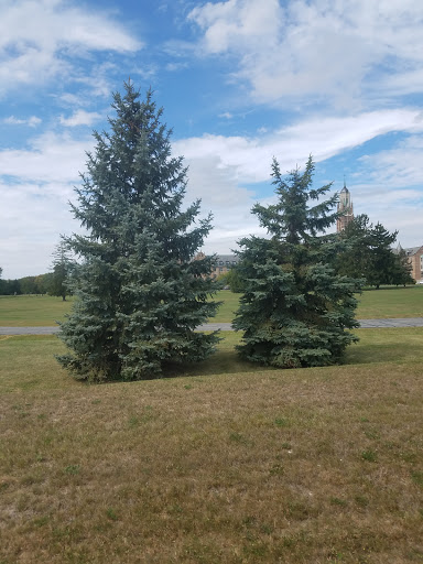 Golf Club «York Golf Club», reviews and photos, 7459 N High St, Columbus, OH 43235, USA