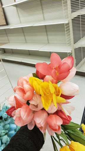 Craft Store «Michaels», reviews and photos, 1245 NY-300 #1, Newburgh, NY 12550, USA