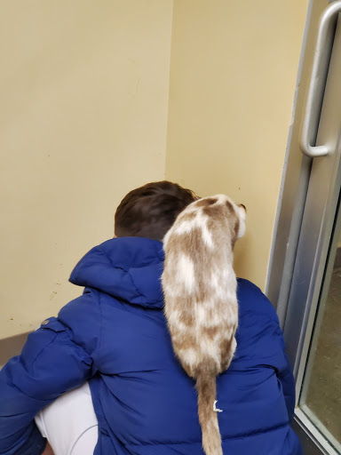 Pet Supply Store «Petco Animal Supplies», reviews and photos, 2824 Long Beach Rd, Oceanside, NY 11572, USA