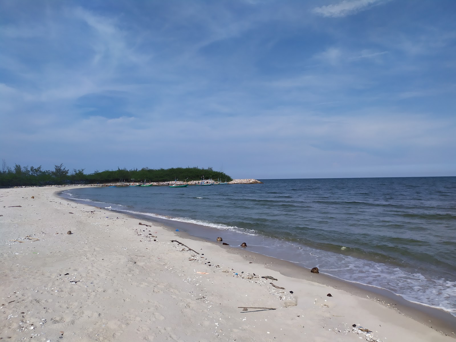 Foto de Forest Beach - lugar popular entre os apreciadores de relaxamento