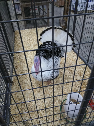 Department Store «Rural King», reviews and photos, 3201 IN-45, Bloomington, IN 47403, USA