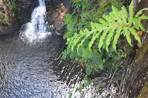 Kapena Falls Trailhead image