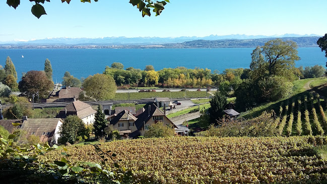 Le Château 3, 2028 Vaumarcus, Schweiz