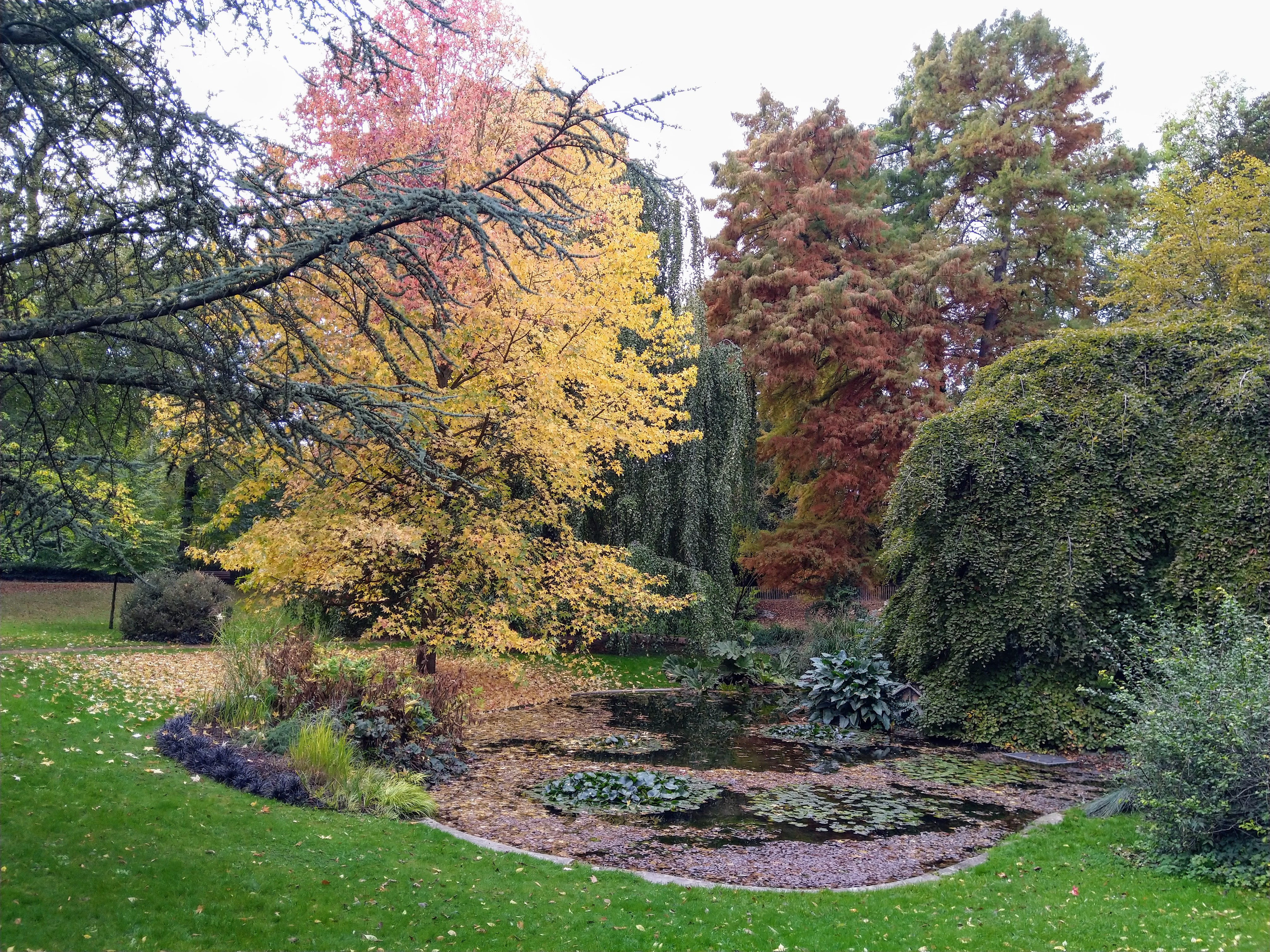 Photo n° 6 de l'avis de Marie-Laure.e fait le 30/10/2018 à 09:37