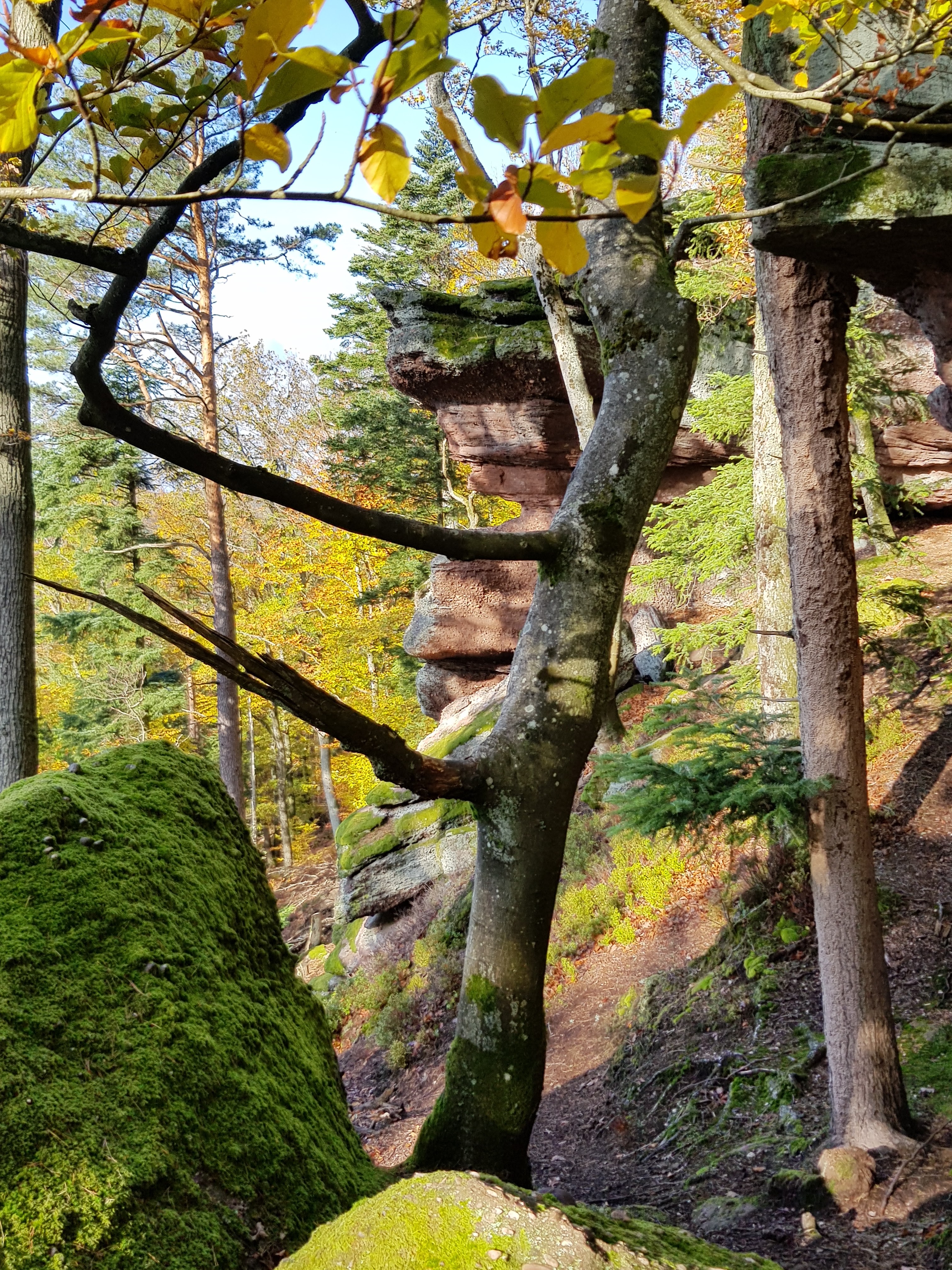 Photo n° 16 de l'avis de Roland.c fait le 09/11/2019 à 18:18