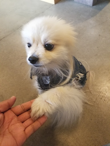 Pet Supply Store «The Naked Dog (Protein For Pets)», reviews and photos, 7385 Milliken Ave #120, Rancho Cucamonga, CA 91730, USA