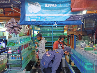 Bursa Ikan Hias Kartini