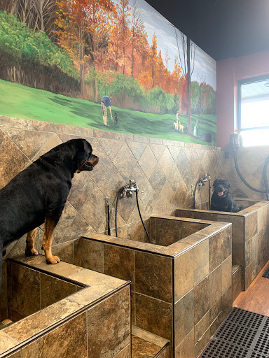 Pet Supply Store «Pet Valu», reviews and photos, 411 Valley Brook Ave, Lyndhurst, NJ 07071, USA