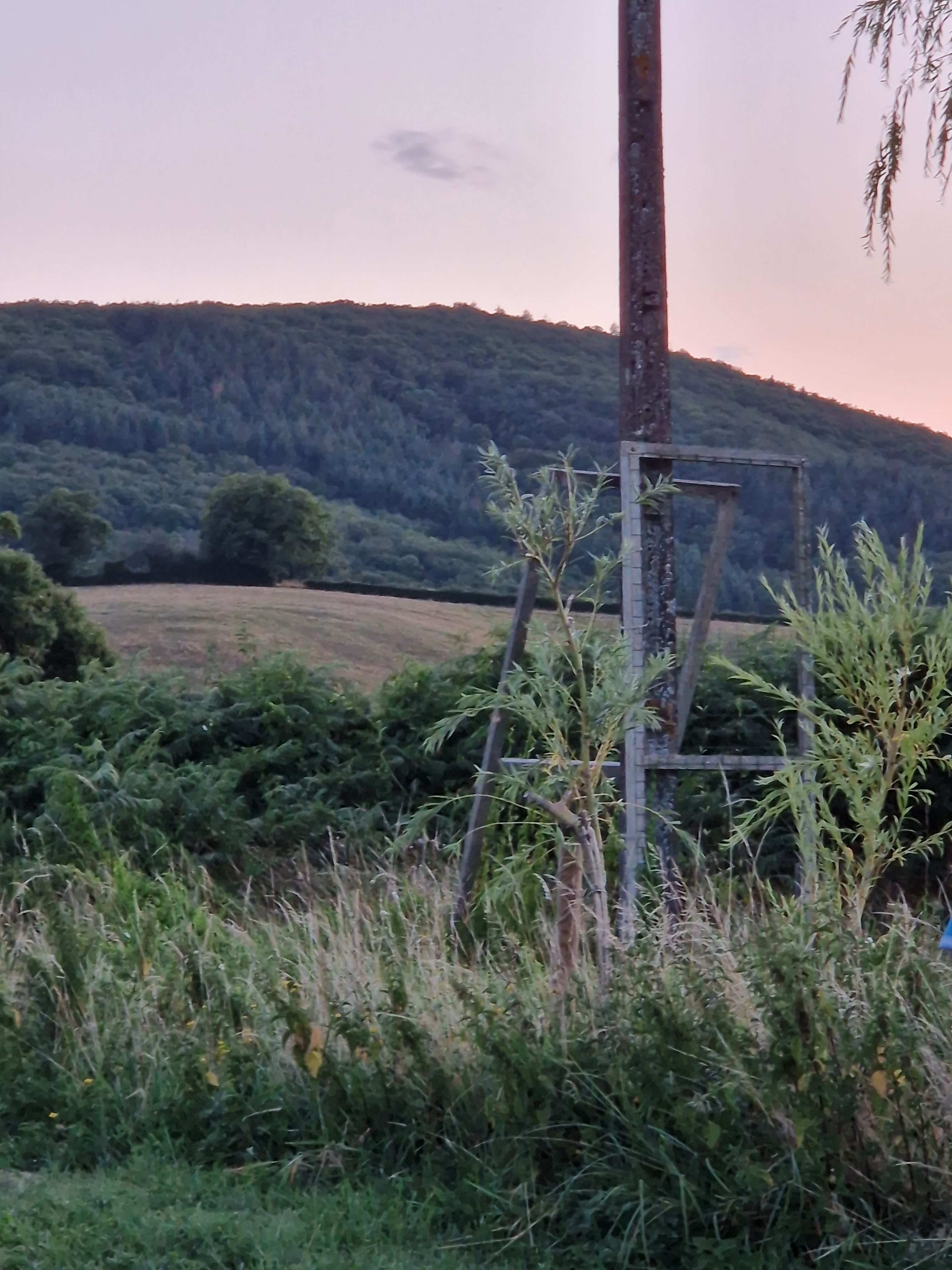 Photo n° 1 de l'avis de Hilly.o fait le 29/07/2023 à 19:33