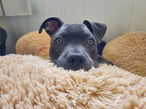 1718 S 8th St, Colorado Springs, CO 80905, USA