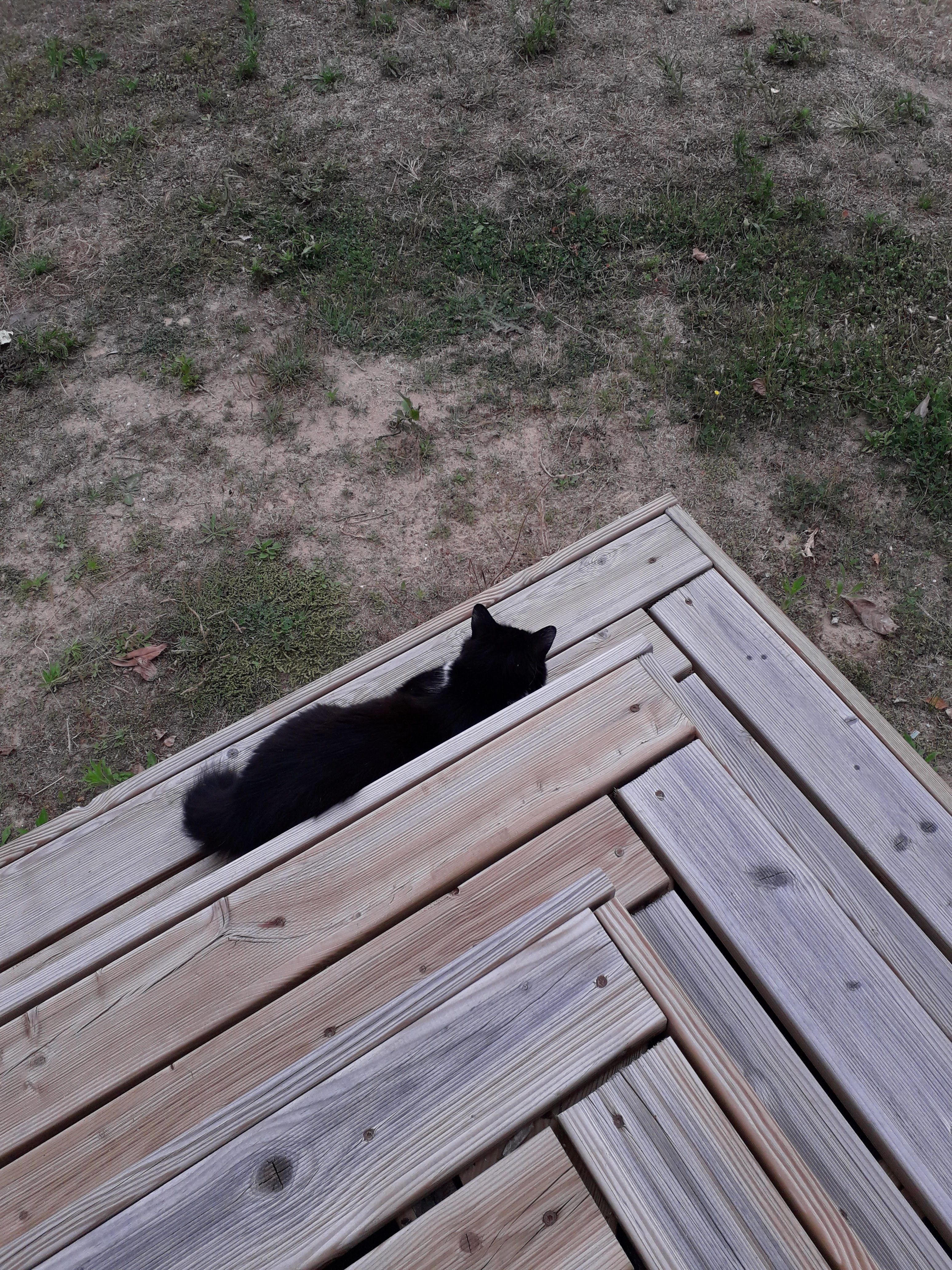 Photo n° 1 de l'avis de Marie.o fait le 29/06/2019 à 16:29