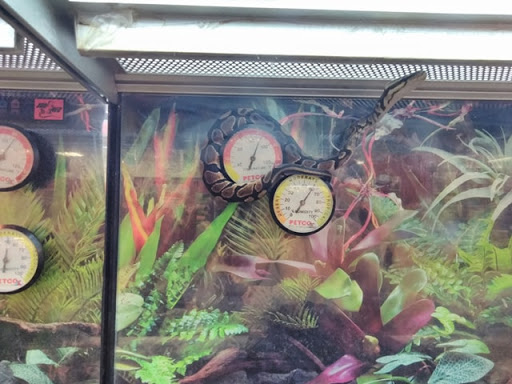 Pet Supply Store «Petco Animal Supplies», reviews and photos, 3380 124th Ave NW, Coon Rapids, MN 55433, USA