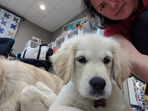 Sewing Shop «Bernina Sewing Center Inc», reviews and photos, 3593 Lake Emma Rd, Lake Mary, FL 32746, USA