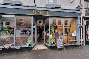 Jungle image