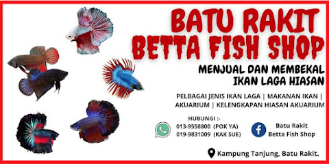 BATU RAKIT BETTA FISH SHOP