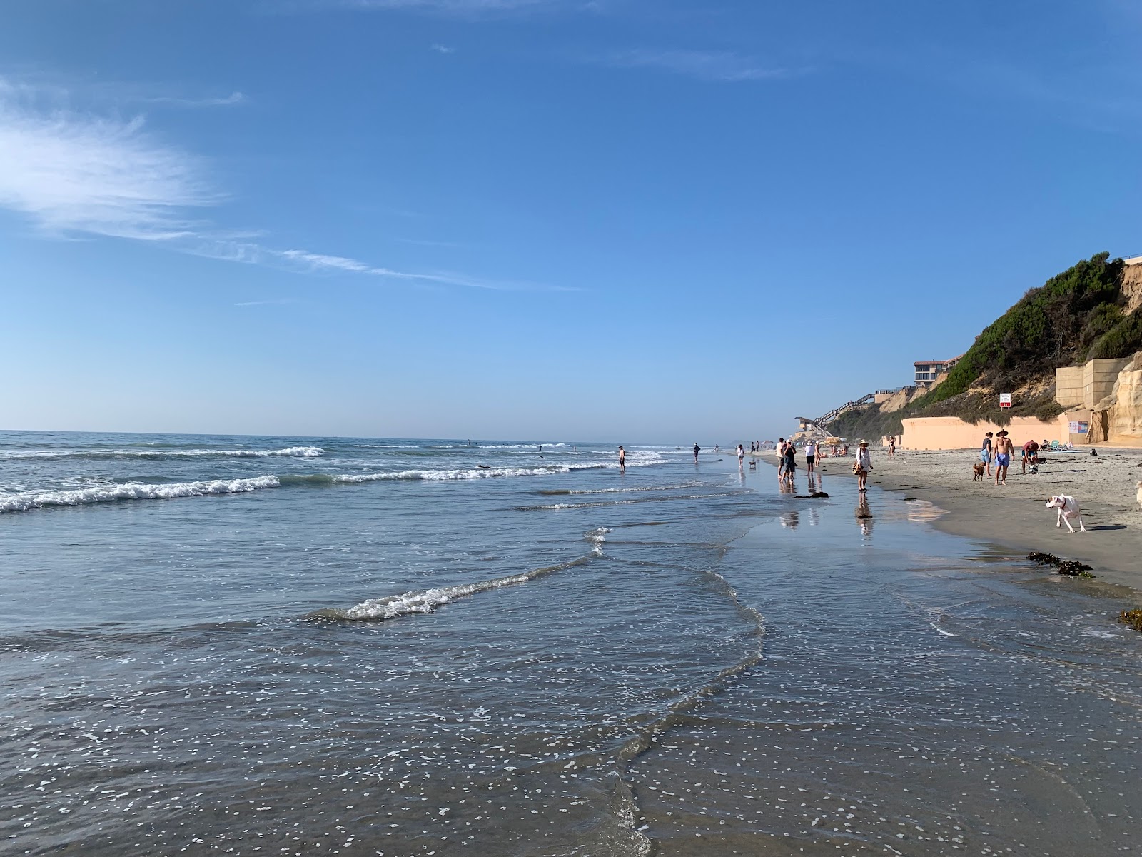 Foto von Del Mar Dog beach mit heller sand Oberfläche