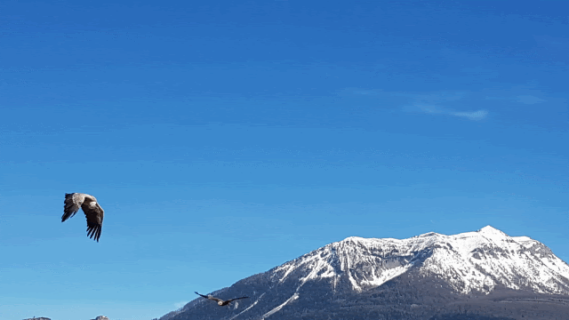 Photo n° 1 de l'avis de Maxence.o fait le 10/05/2018 à 07:26