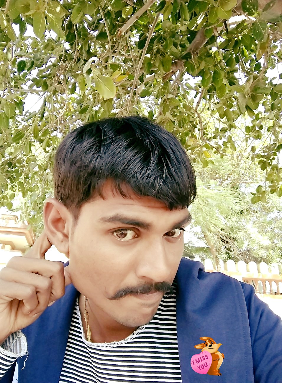 પ્રાઇવેટ પશુ દવાખાનું