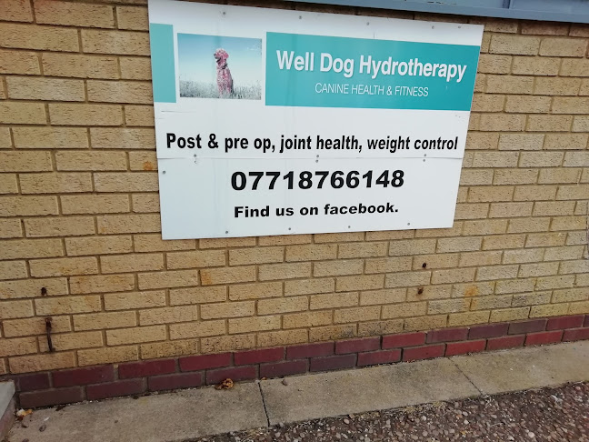 welldoghydrotherapy.co.uk
