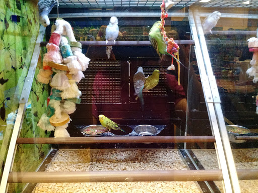 Pet Supply Store «PetSmart», reviews and photos, 1759 Apalachee Pkwy, Tallahassee, FL 32301, USA