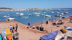 Shaldon beach'in fotoğrafı çok temiz temizlik seviyesi ile