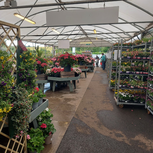 Comments and reviews of Playhatch Garden Centre