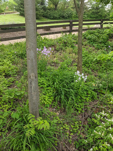 Community Center «Garfield Park Nature Center», reviews and photos, 11350 Broadway Ave, Garfield Heights, OH 44125, USA
