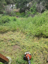 Mendoza Landscaping LLC