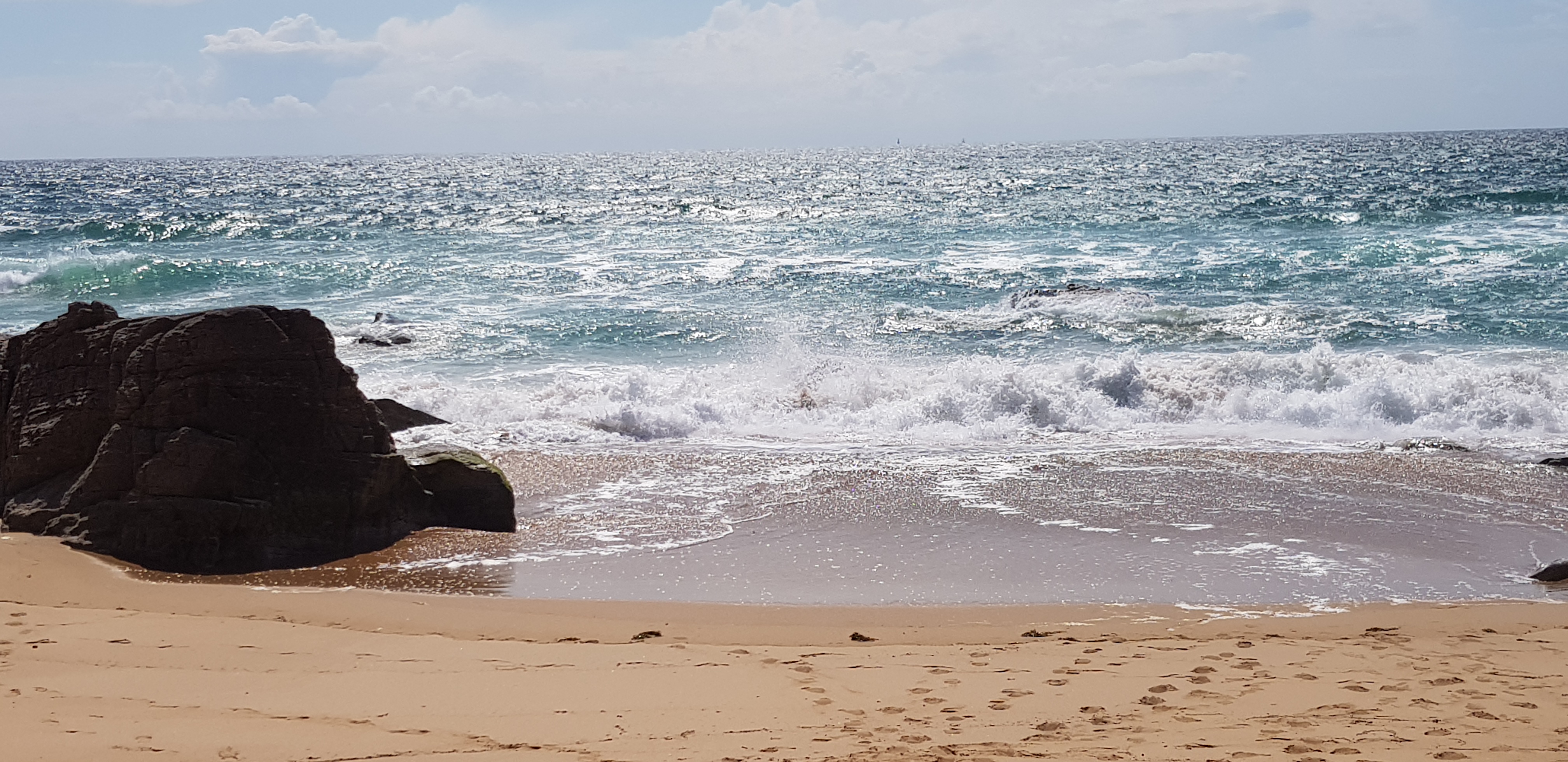 Photo n° 3 de l'avis de P. fait le 10/06/2019 à 07:13