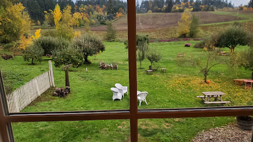 Winery «Lady Hill Winery», reviews and photos, 8400 Champoeg Rd NE, St Paul, OR 97137, USA