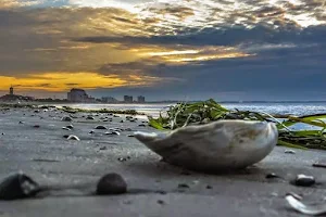 Revere Beach image