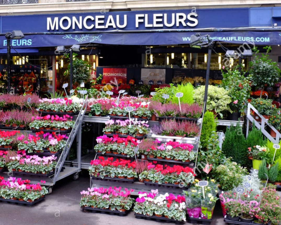 Photo n° 1 de l'avis de Michel.a fait le 05/09/2020 à 16:10