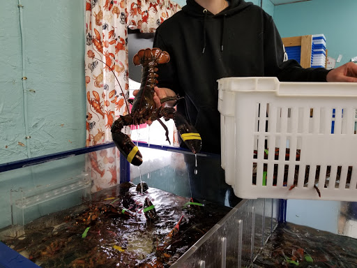 Seafood Market «Parsons Lobsters», reviews and photos, 64 Eagle Lake Rd, Bar Harbor, ME 04609, USA