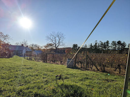 Vineyard «Elk Run Vineyards», reviews and photos, 15113 Liberty Rd, Mt Airy, MD 21771, USA