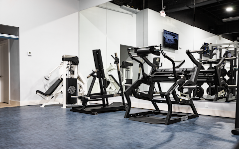 The Ave Luxe Gym image