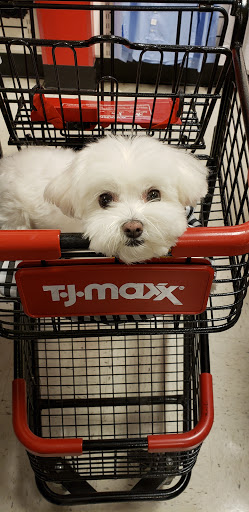 Department Store «T.J. Maxx», reviews and photos, 7252 W 191st St, Tinley Park, IL 60487, USA