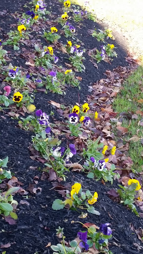 American Restaurant «Cracker Barrel Old Country Store», reviews and photos, 427 N Broadway, Pennsville, NJ 08070, USA