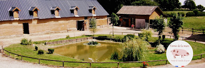 Lauwerier Dominique à Maisnières