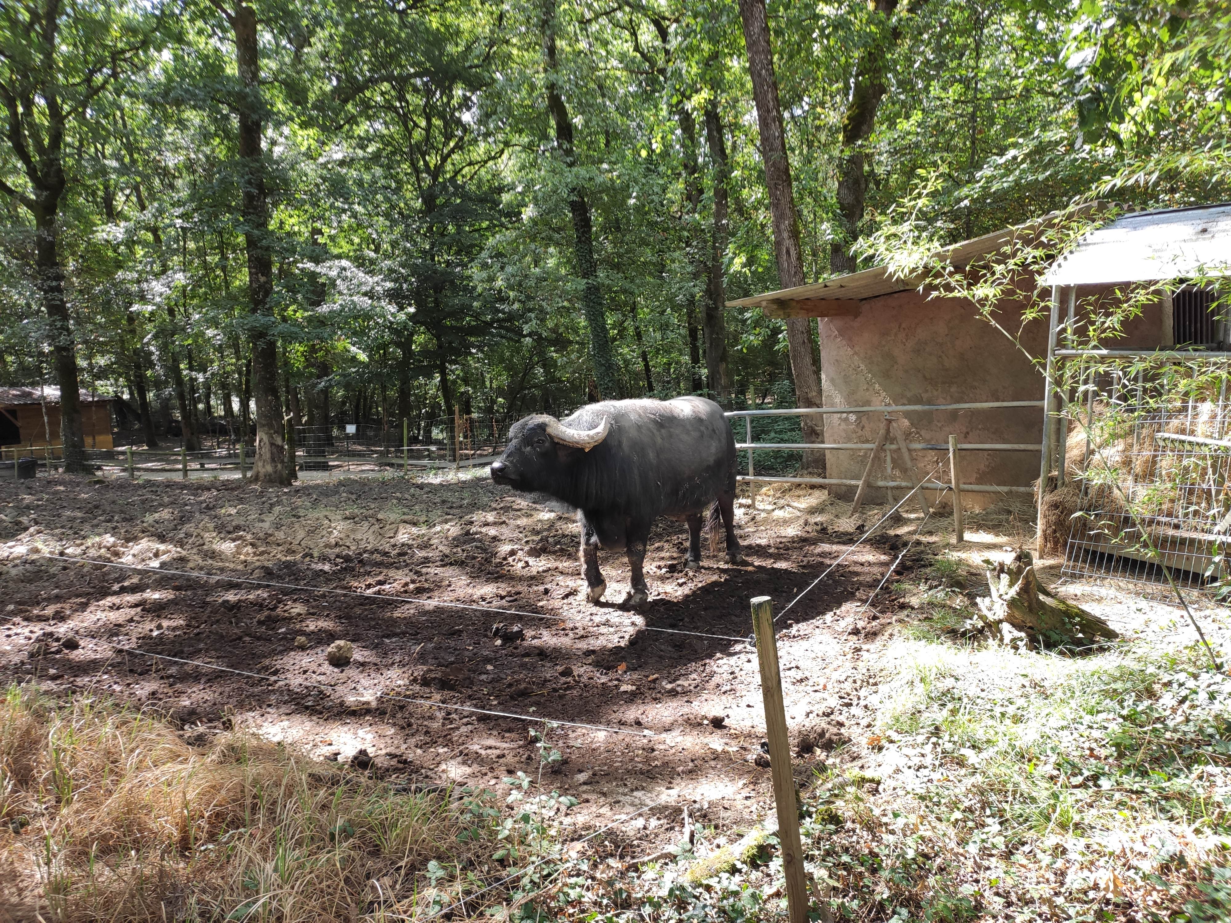 Photo n° 4 de l'avis de Pierre-Henri.I fait le 21/08/2020 à 14:20