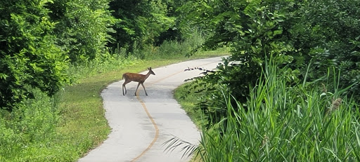 Golf Course «Joe Louis the Champ Golf Course», reviews and photos, 13100 S Halsted St, Riverdale, IL 60827, USA