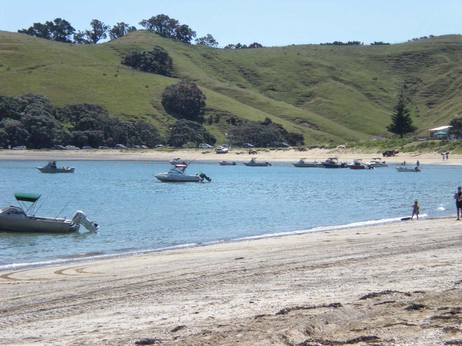 Photo of Otautu Bay with light sand &  pebble surface