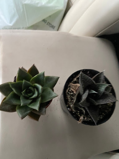 Home Improvement Store «The Home Depot», reviews and photos, 30144 US Hwy 19 N, Clearwater, FL 33761, USA