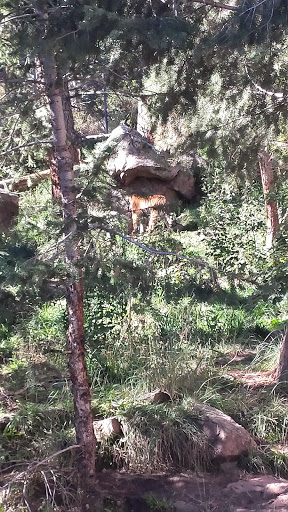 Country Club «Country Club of Colorado», reviews and photos, 125 Clubhouse Dr, Colorado Springs, CO 80906, USA