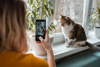 Cats and Crew - Photo 6 - Car repair in , Coral Springs