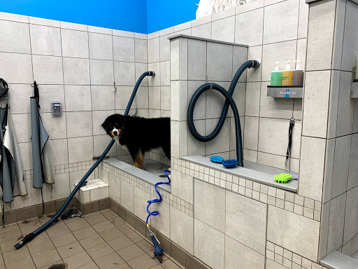 Pet Supply Store «Pet Supplies Plus», reviews and photos, 13360 W 87th St Pkwy, Lenexa, KS 66215, USA